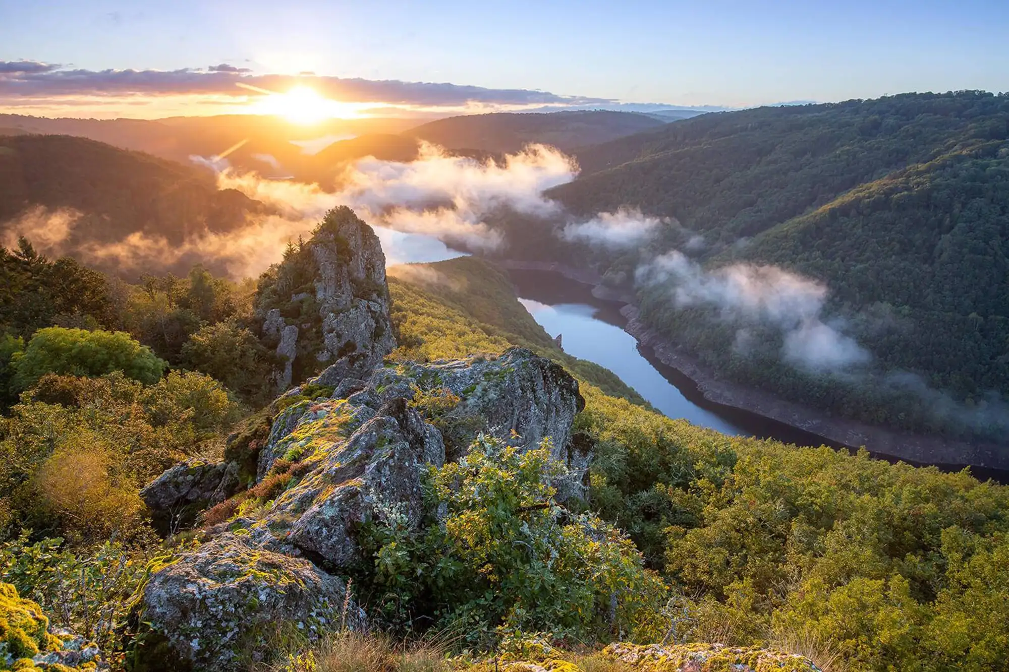 camping serendipite une decouverte inattendue camping auvergne