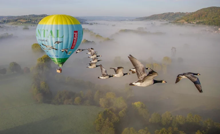 camping cantal activites aerienne