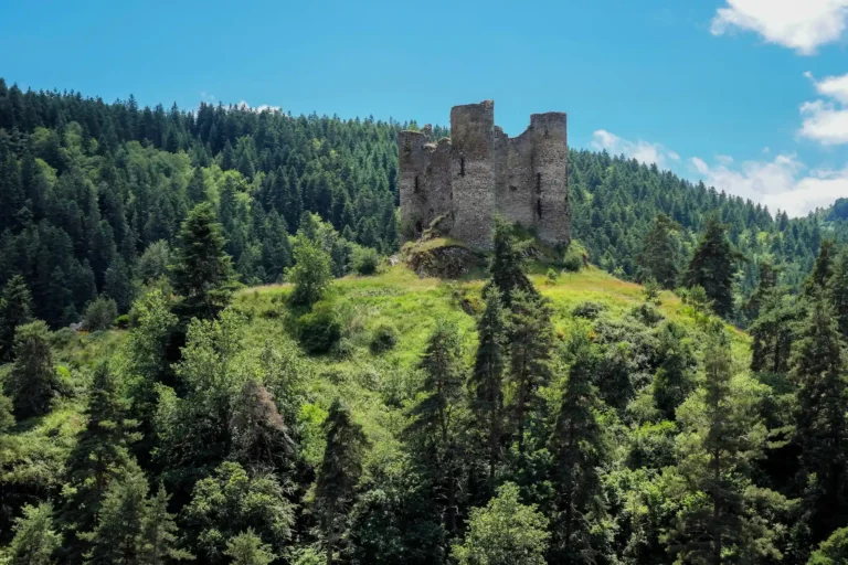 camping cantal chateau