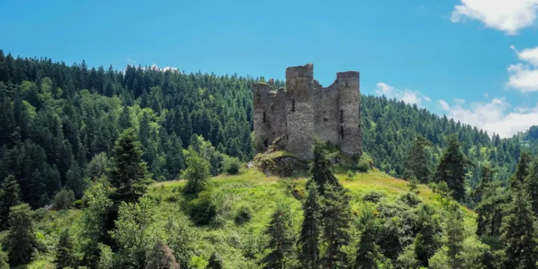 camping cantal chateau